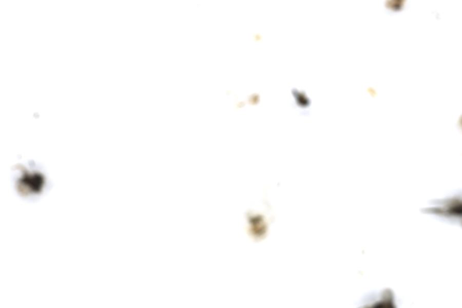 Image 49